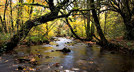 Label Site Rivières sauvages